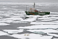 Arctic Sunrise