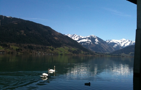 Der Zeller See im Frühling, auf den Bergen im Hintergrund liegt noch Schnee, auf dem See tummeln sich Schwäne und Enten.