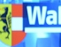 Wahl-Logo des ORF