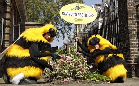 Bee protests