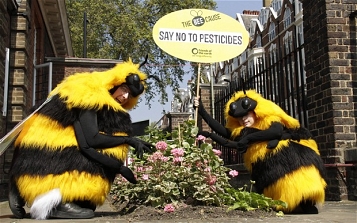 © unknown Bee protests