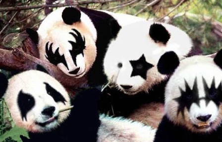 Pandas