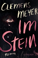 Clemens Meyer "Im Stein" Cover