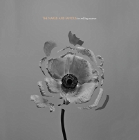 The Naked & Famous Albumcover "Rolling In Waves"