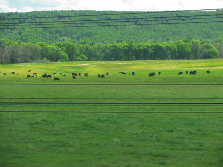 Prairies-1