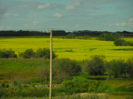 Prairies-2