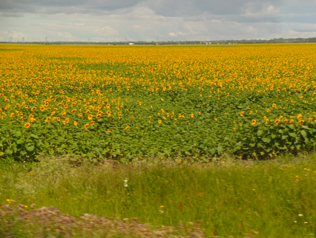 Prairies-4