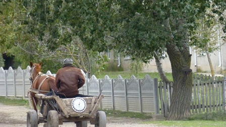 a horse andf cart in Moldova
