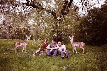 Bandfoto Amere Meander