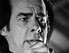 Nick Cave