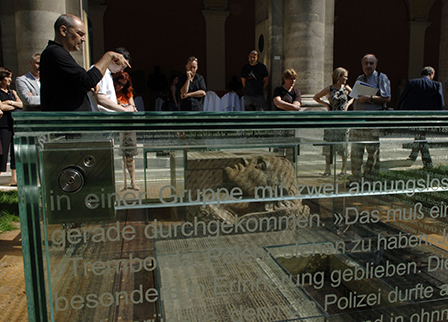 Siegfriedskopf im Arkadenhof