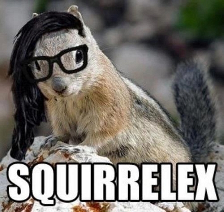 Skrillex als Eichhörnchen 