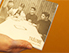 Hand mit Ninos Album
