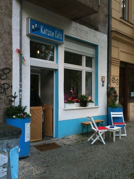 Katzencafé