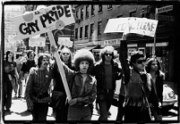 Stonewall Riot