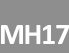 MH17