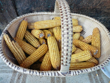 Lunch in Romania!