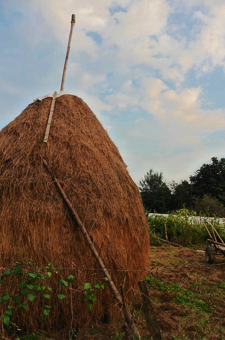 Hayrick in romania