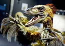 feathered dinos