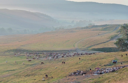 A rural scene in Romania