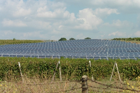 The new and the old. Solar power among the vinyards