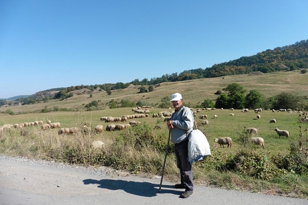 A sheep farmer