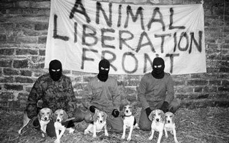 Animal Liberation Front mit befreiten Hunden