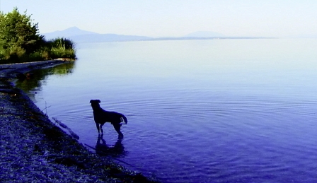 Filmstill Adieu au langage
