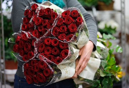 Rote Rosen zum Valentinstag