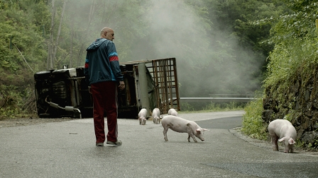 Ein umgefallener Laster und frei laufende Ferkel auf einer Straße - Filmstill aus "Bad Luck"