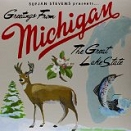 Albumcover Sufjan Stevens Michigan