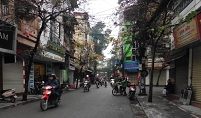 A picture of trees in Hanoi