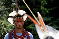 Brazil tribes