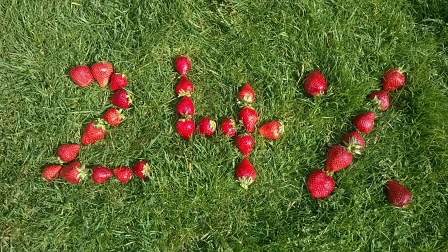 Erdbeeren in Form von 24%