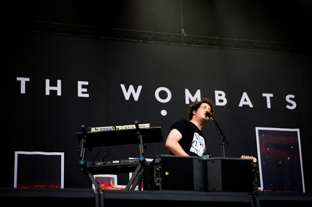 the wombats