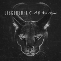 Albumcover: Disclosure "Caracal", mit ebenjenem Caracal am Cover