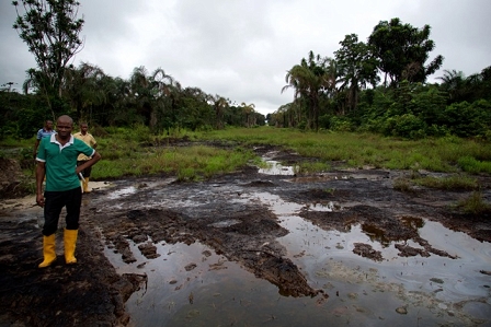 oil pollution in the Niger Delta