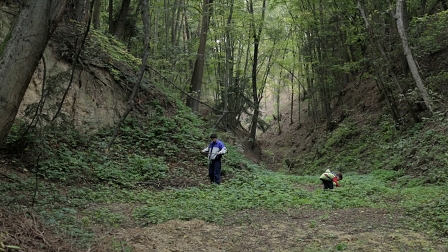 Zwei Personen im Wald, Endzeit