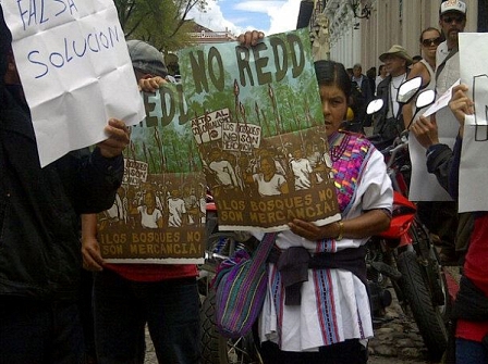 Indigenas protesting against REDD