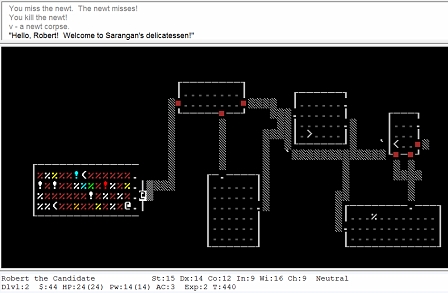 Nethack: Im Shop