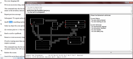 Nethack: Auf der Suche nach den richtigen Befehlen