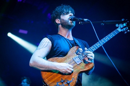 foals