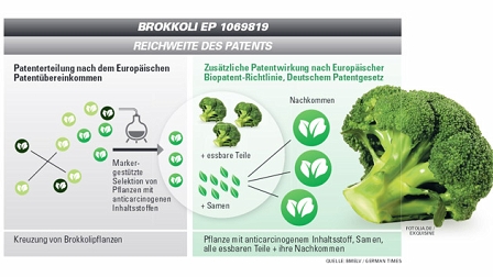 Super-Brokkoli Patentreichweite