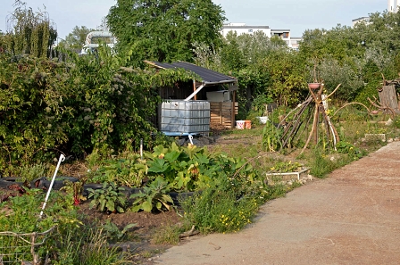 Gemeinschaftsgarten in Wien, 