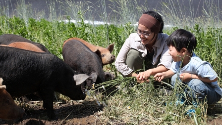 Filmemacherin Yun Hwang und ihr Söhnchen besuchen Schweine, die auf einem kleinen Bauernhof leben - abseits industrieller Nutztierhaltung