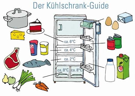 Was gehört wo in den Kühlschrank? Grafik