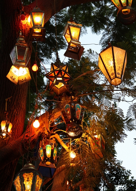 Lampen am Baum, Ramadan in Kairo