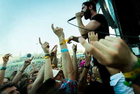 Foals