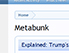 Screenshot der Webseite Metabunk.org