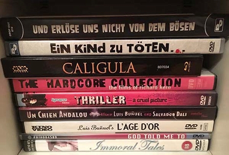 DVD Sammlung